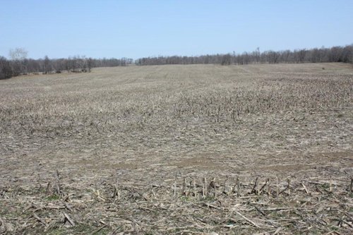 Property photo 7 - 200+/- Acre Land Auction in Gibson County, Indiana